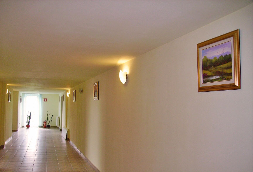 Holuri in caminul de batrani Sfantul Sava Cluj